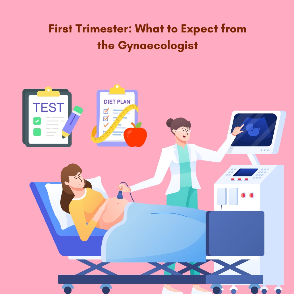 First Trimester: What to Expect from the Gynaecologist