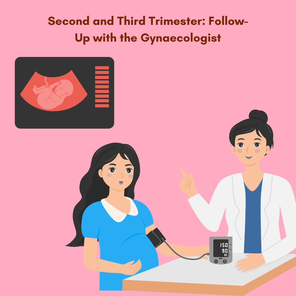 Second and Third Trimester: Follow-Up with the Gynaecologist